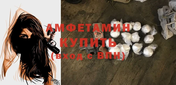 гидра Гусь-Хрустальный