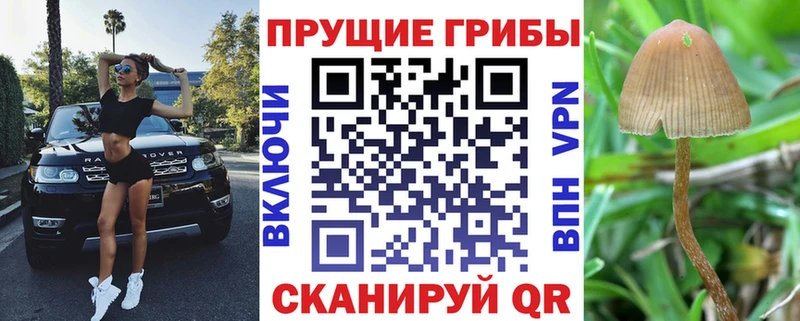 Псилоцибиновые грибы ЛСД купить цена Озёрск